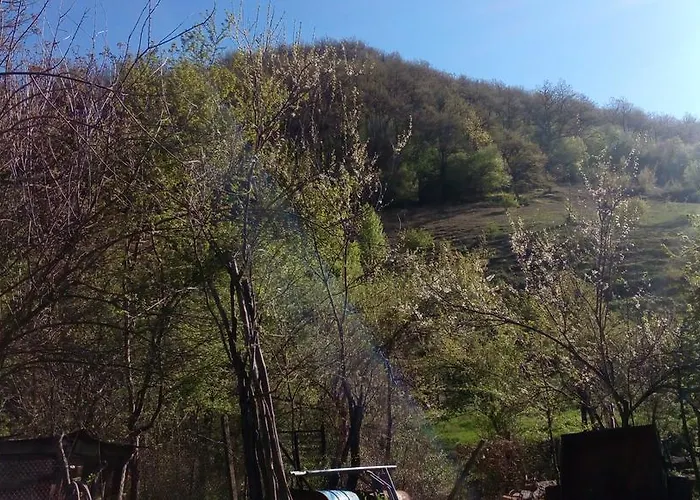 Къща На Боговете